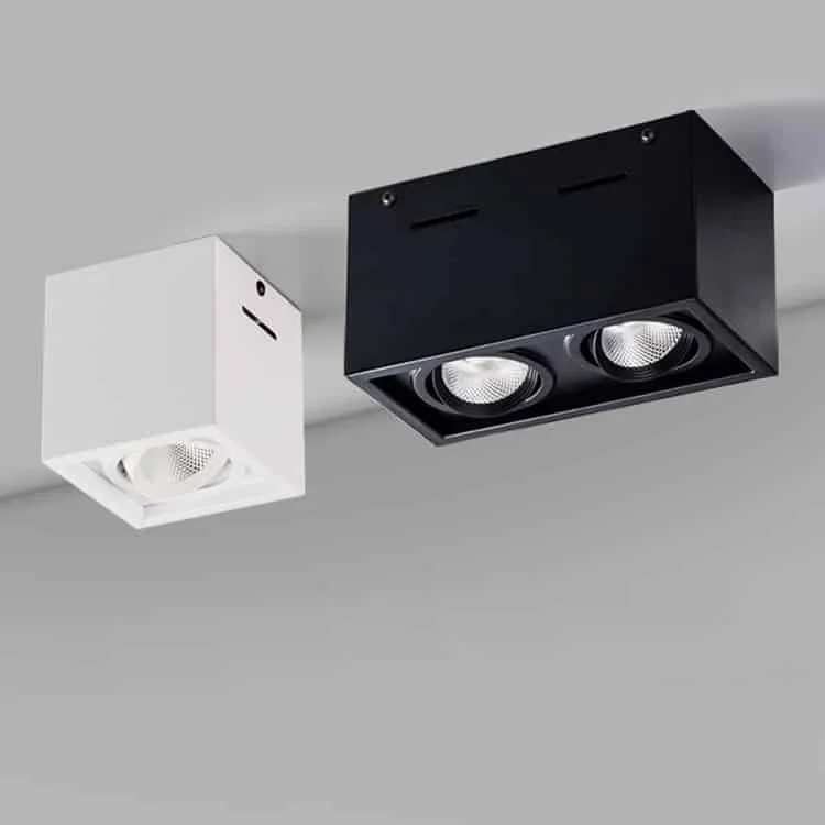 Downlights de superficie con uno o dos focos orientables