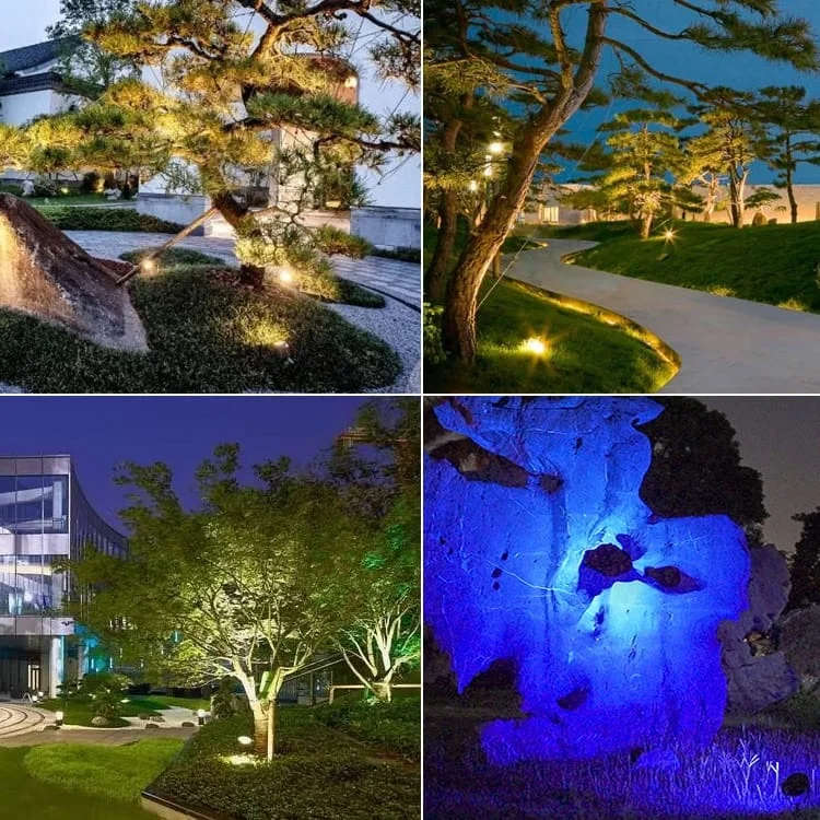 Iluminación del árbol