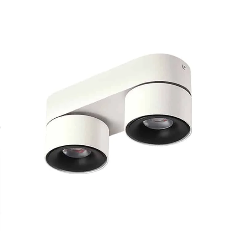 Downlights dobles de superficie ajustables