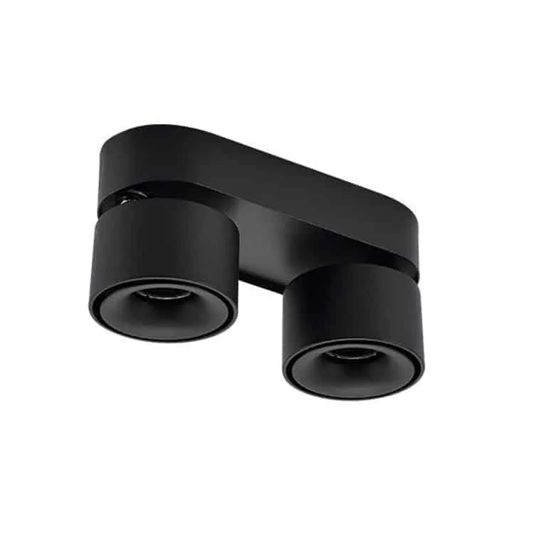 Downlights de superficie ajustables dobles