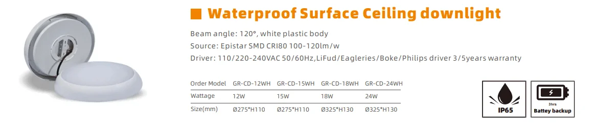 Downlight de techo de superficie