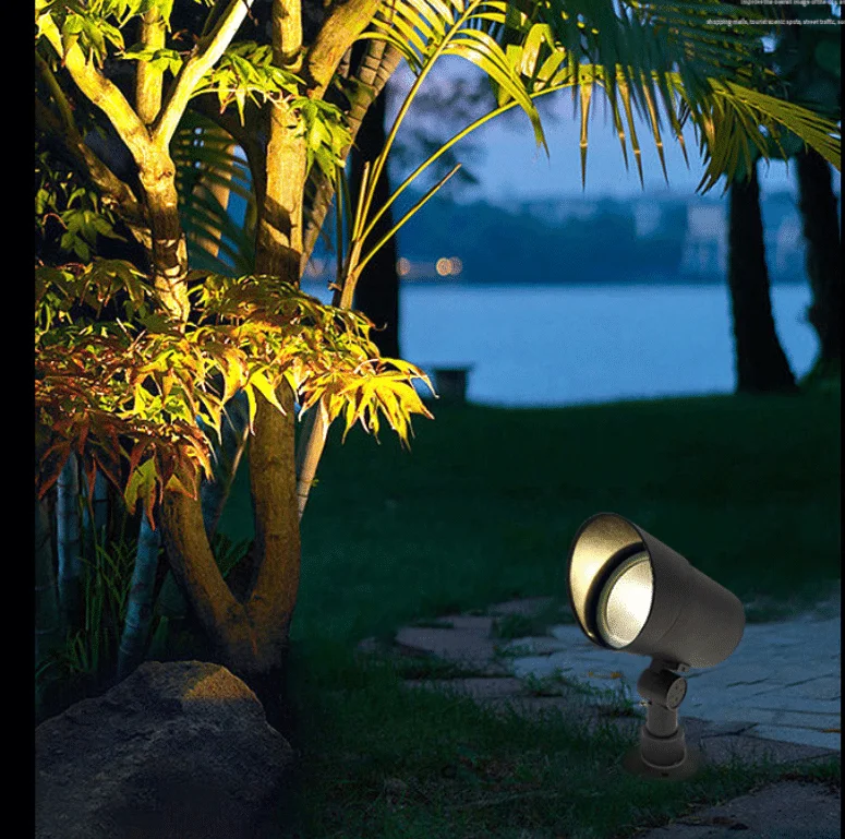 Luz del arbol